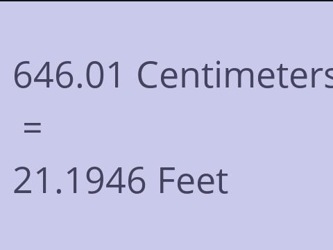 646.01 CM TO FEET