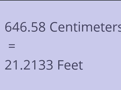 646.58 CM TO FEET