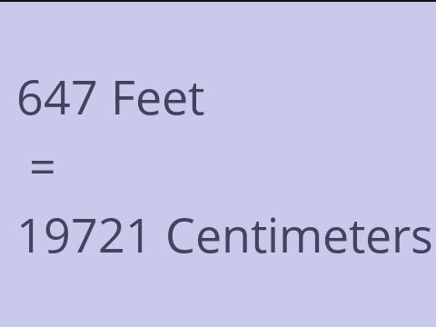 647 FEET TO CM