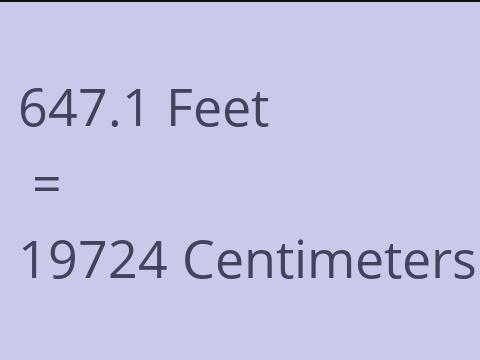 647.1 FEET TO CM