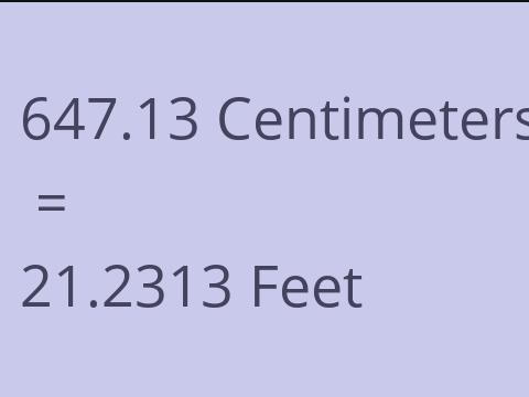 647.13 CM TO FEET