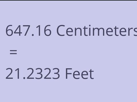 647.16 CM TO FEET