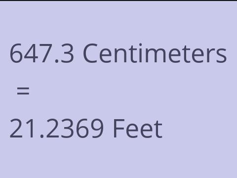 647.3 CM TO FEET