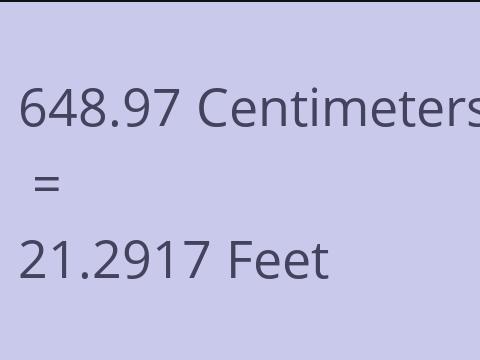 648.97 CM TO FEET