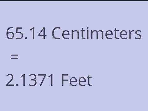 65.14 CM TO FEET