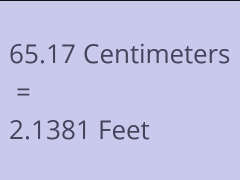 65.17 CM TO FEET