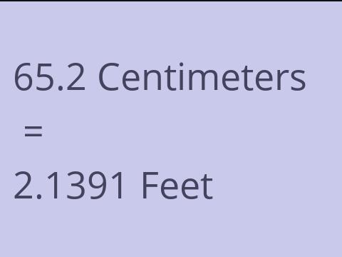 65.2 CM TO FEET