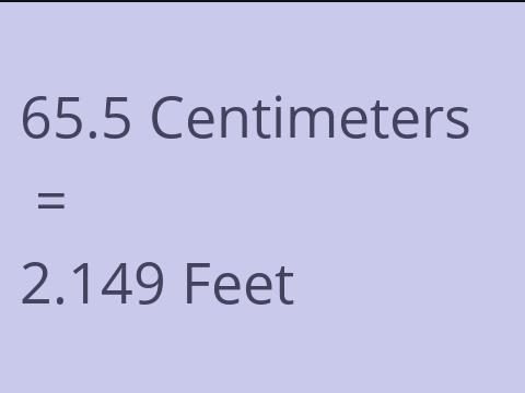 65.5 CM TO FEET