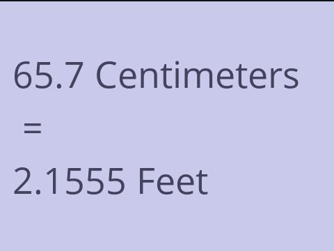 65.7 CM TO FEET