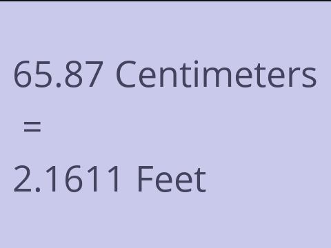 65.87 CM TO FEET