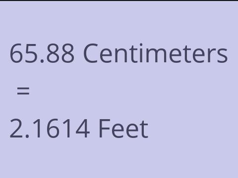 65.88 CM TO FEET