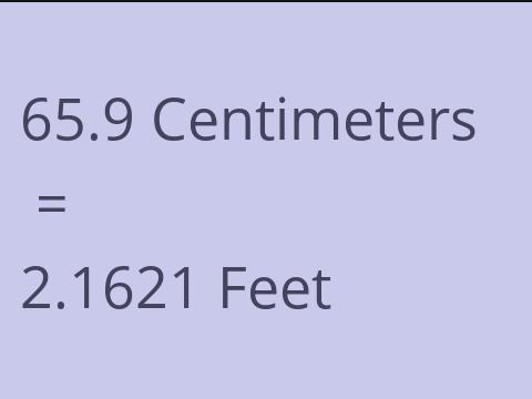 65.9 CM TO FEET