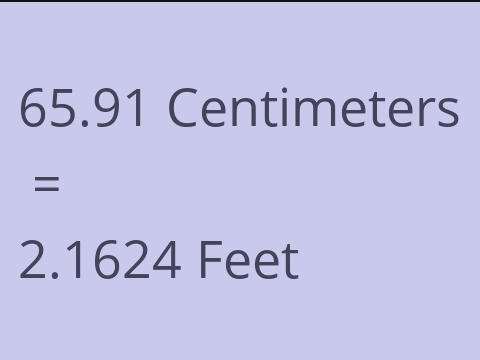 65.91 CM TO FEET