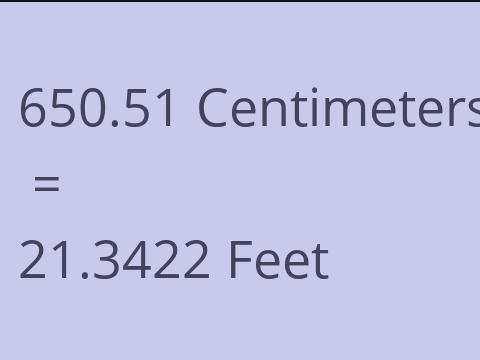 650.51 CM TO FEET