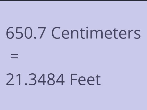 650.7 CM TO FEET