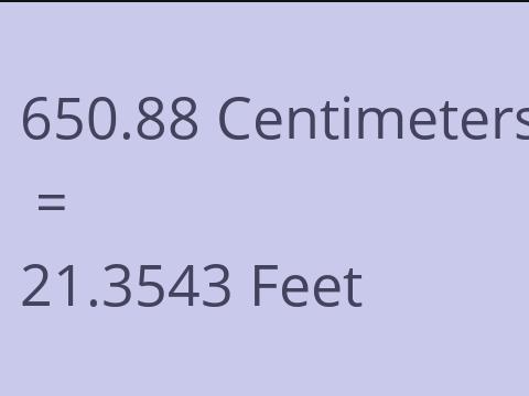 650.88 CM TO FEET