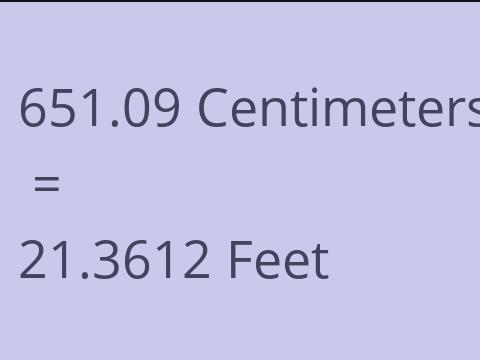 651.09 CM TO FEET