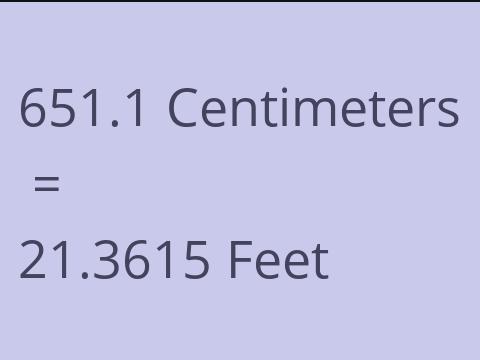 651.1 CM TO FEET