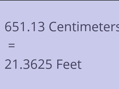 651.13 CM TO FEET