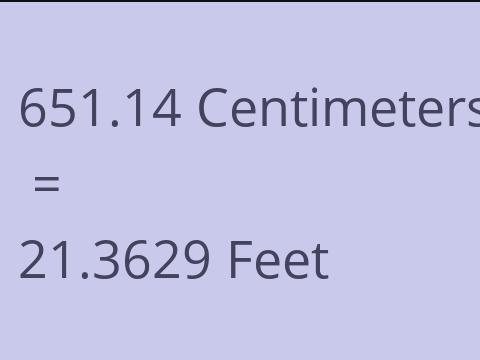 651.14 CM TO FEET