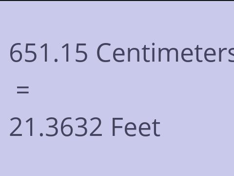 651.15 CM TO FEET