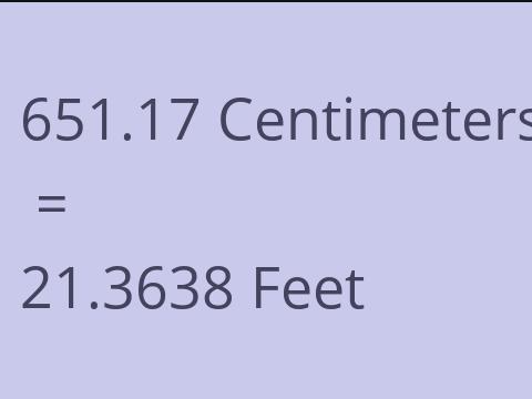 651.17 CM TO FEET