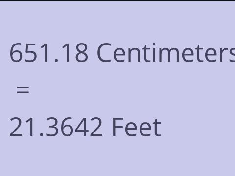 651.18 CM TO FEET