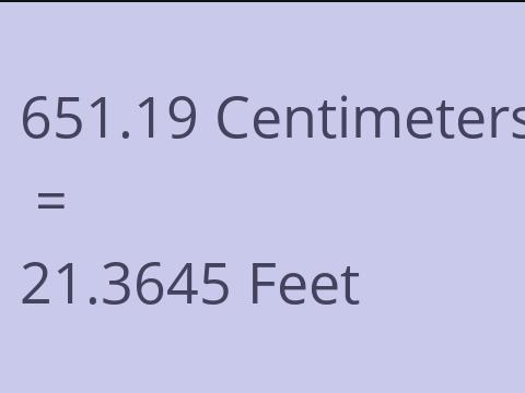 651.19 CM TO FEET