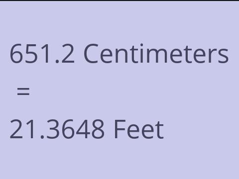 651.2 CM TO FEET