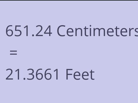 651.24 CM TO FEET