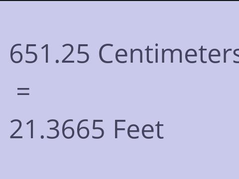 651.25 CM TO FEET