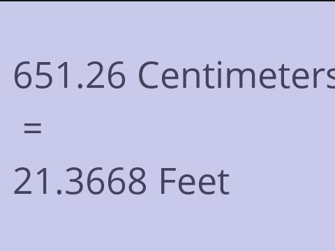 651.26 CM TO FEET