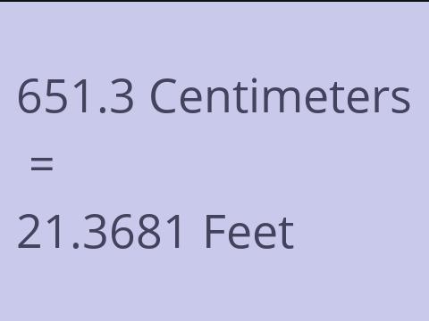 651.3 CM TO FEET