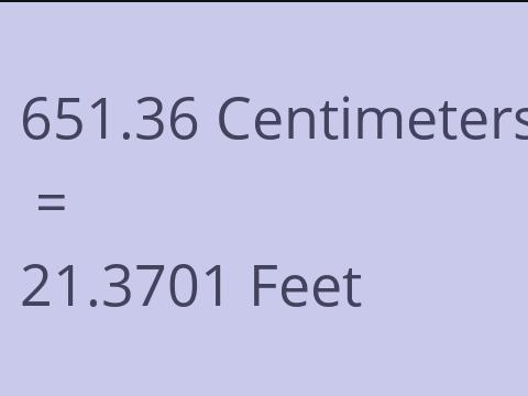 651.36 CM TO FEET