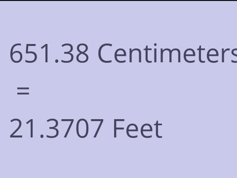 651.38 CM TO FEET