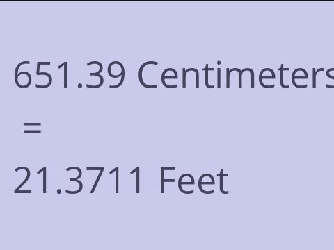 651.39 CM TO FEET