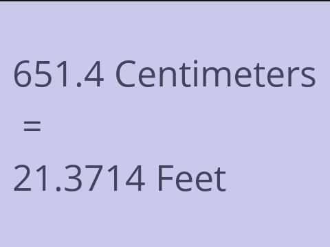 651.4 CM TO FEET