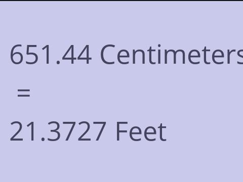 651.44 CM TO FEET