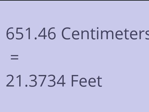 651.46 CM TO FEET