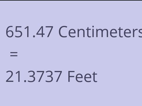 651.47 CM TO FEET