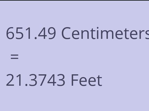 651.49 CM TO FEET