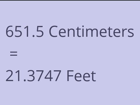 651.5 CM TO FEET