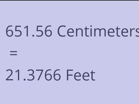 651.56 CM TO FEET