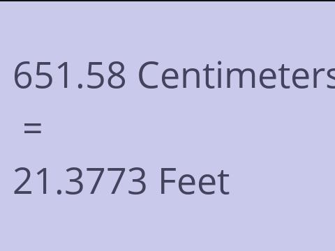 651.58 CM TO FEET