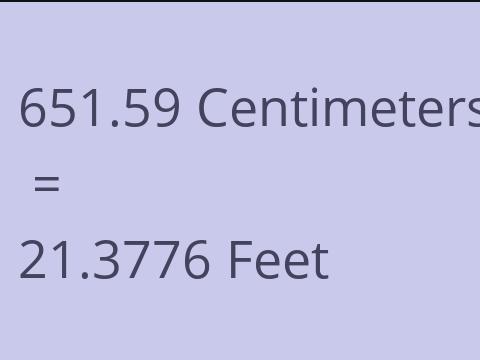 651.59 CM TO FEET