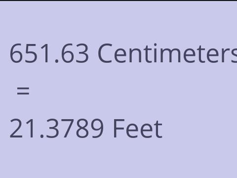 651.63 CM TO FEET