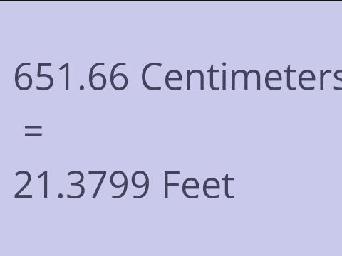 651.66 CM TO FEET