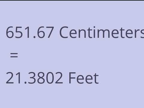 651.67 CM TO FEET