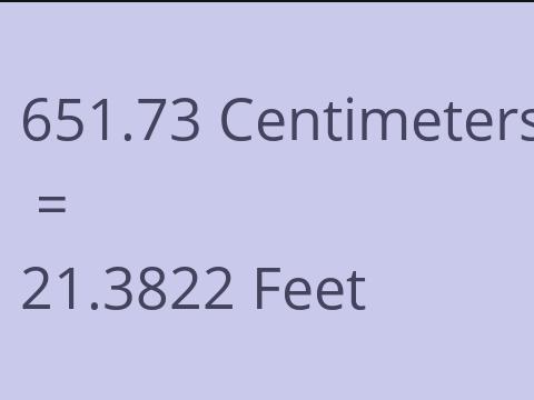 651.73 CM TO FEET