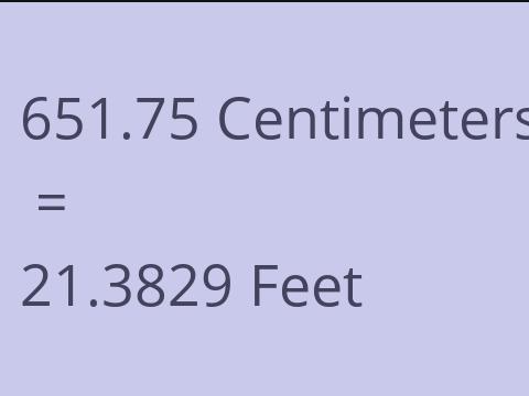 651.75 CM TO FEET